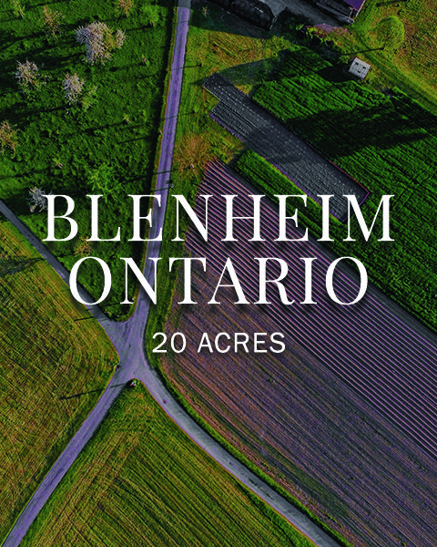 Blenheim Ontario