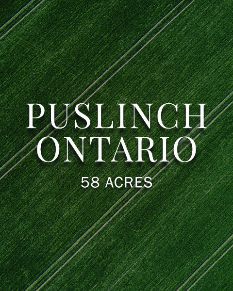 Puslinch Ontario
