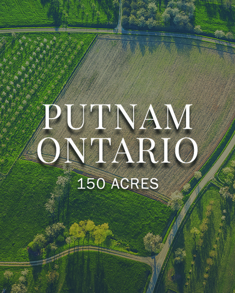 Putnam Ontario